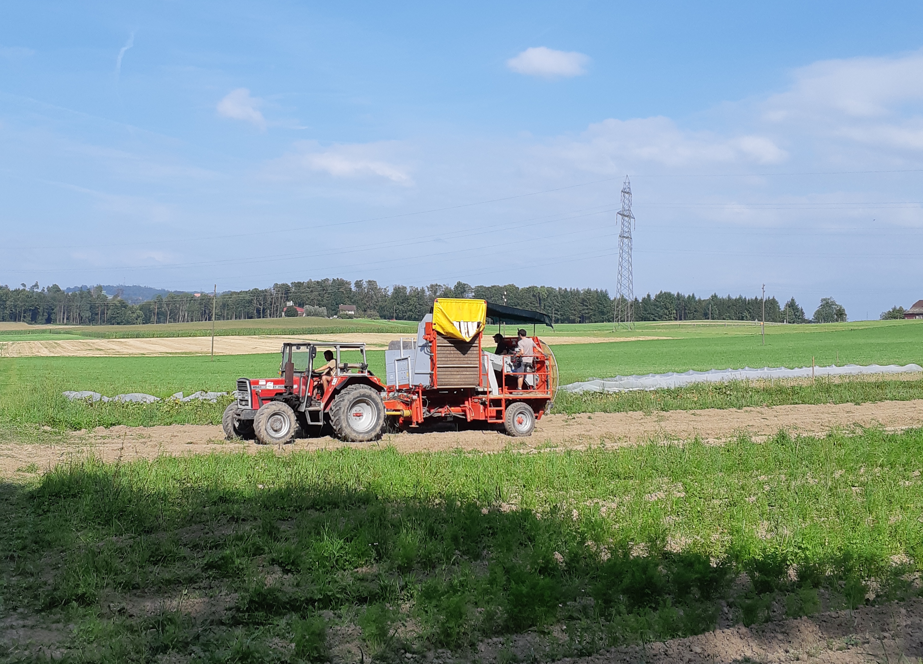 Kartoffel Ernte 2021 mit etwas Mühe.